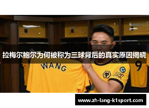 拉梅尔鲍尔为何被称为三球背后的真实原因揭晓