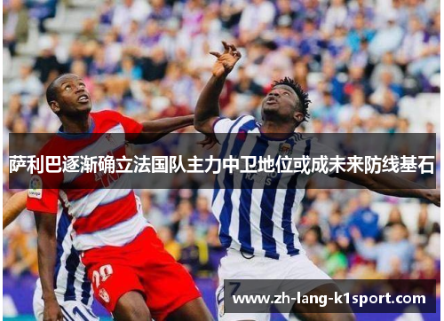 萨利巴逐渐确立法国队主力中卫地位或成未来防线基石