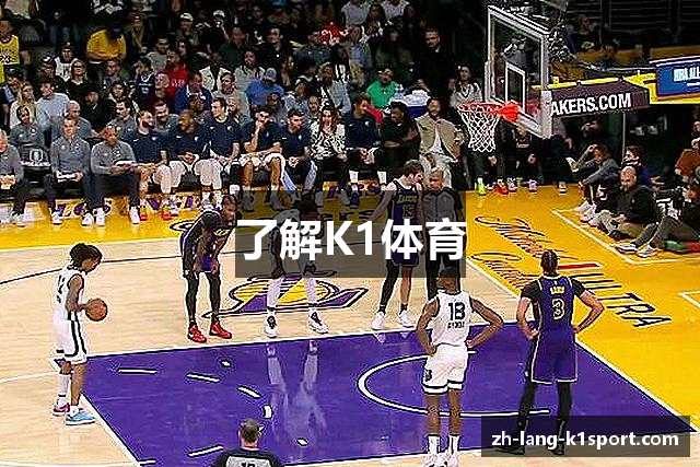 了解K1体育